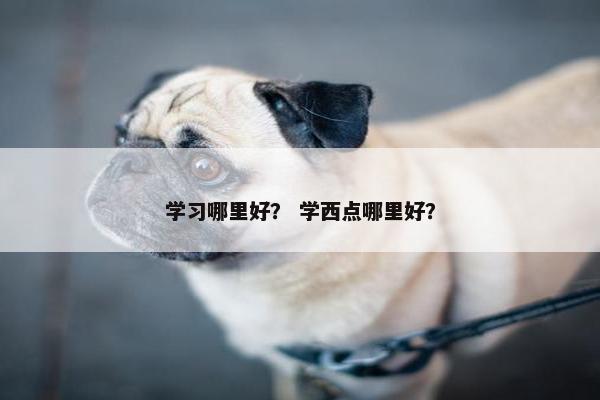 学习哪里好？ 学西点哪里好？