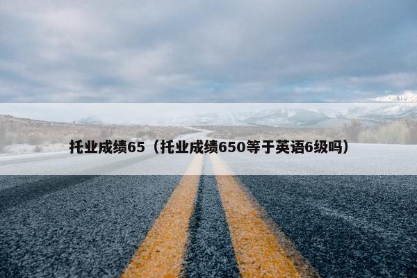 托业成绩65（托业成绩650等于英语6级吗）