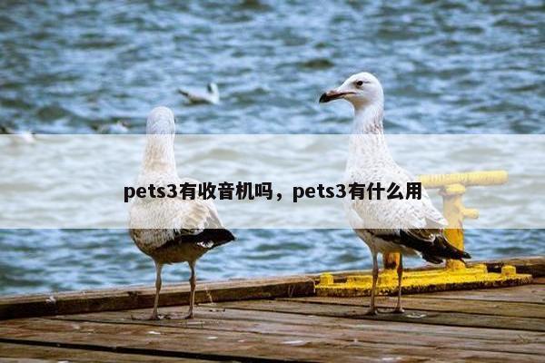 pets3有收音机吗，pets3有什么用