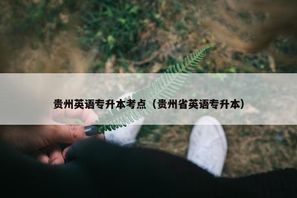 贵州英语专升本考点（贵州省英语专升本）