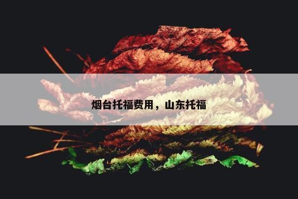 烟台托福费用，山东托福