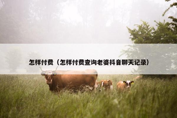 怎样付费（怎样付费查询老婆抖音聊天记录）