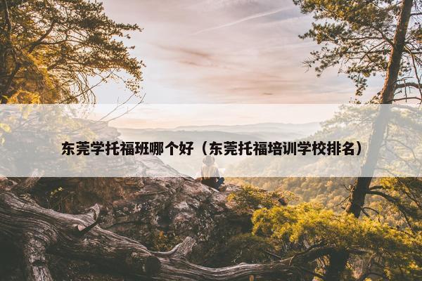 东莞学托福班哪个好（东莞托福培训学校排名）