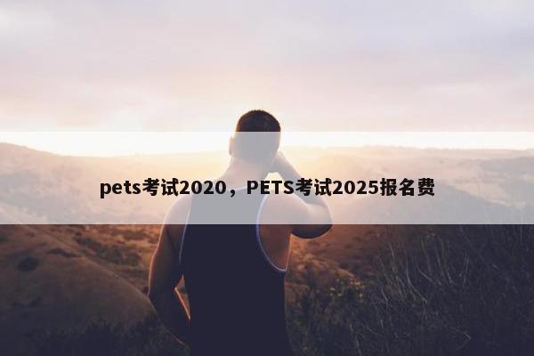 pets考试2020，PETS考试2025报名费