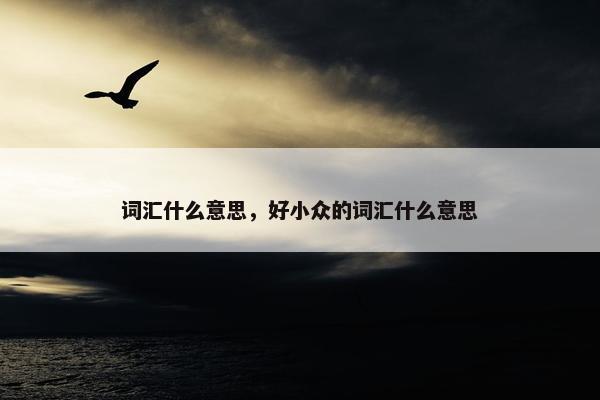 词汇什么意思，好小众的词汇什么意思