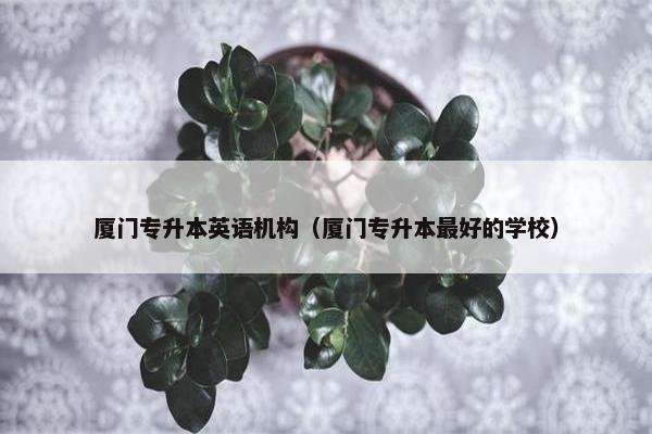 厦门专升本英语机构（厦门专升本最好的学校）