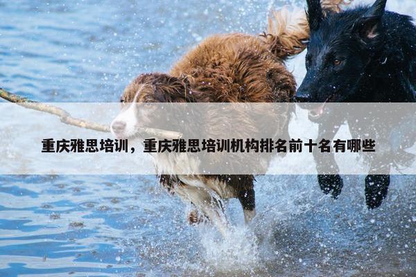 重庆雅思培训，重庆雅思培训机构排名前十名有哪些
