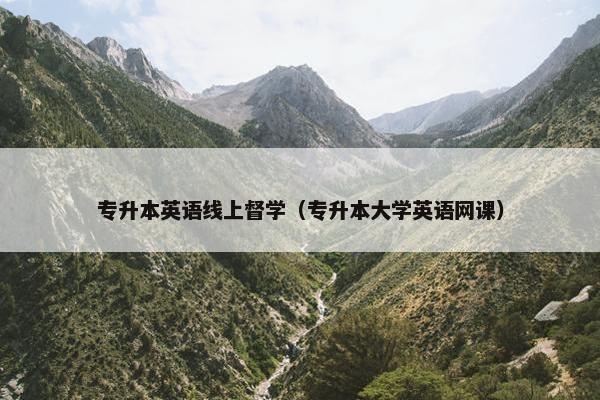 专升本英语线上督学（专升本大学英语网课）