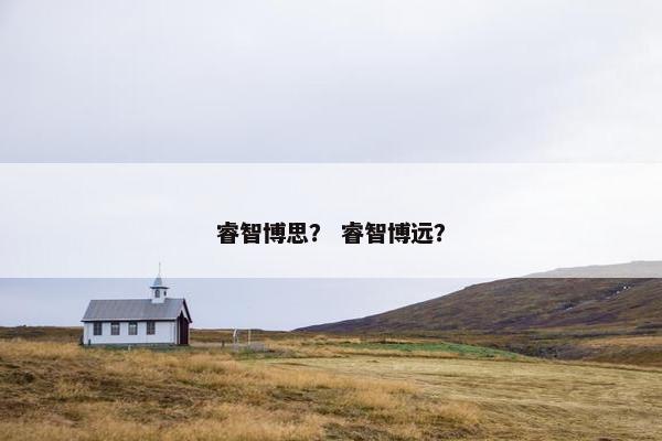 睿智博思？ 睿智博远？