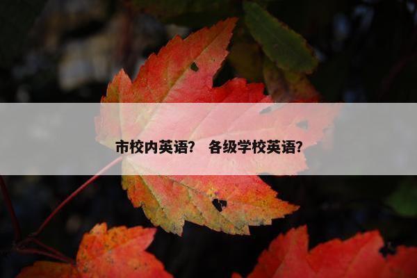 市校内英语？ 各级学校英语？