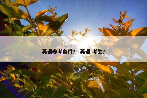 英语参考条件？ 英语 考生？