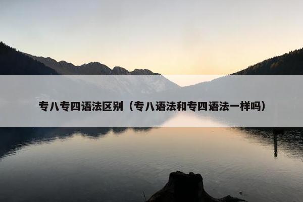专八专四语法区别（专八语法和专四语法一样吗）