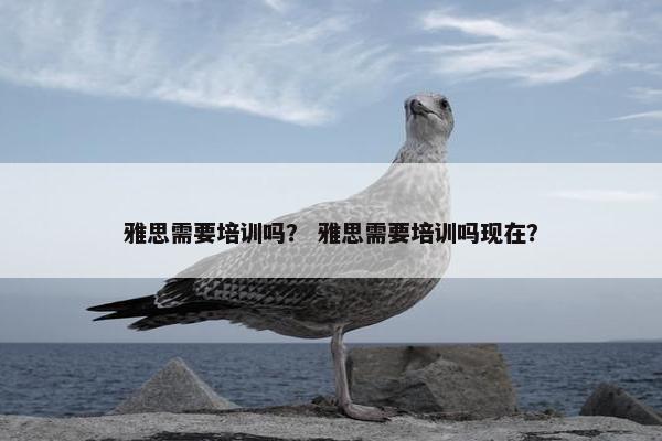 雅思需要培训吗？ 雅思需要培训吗现在？