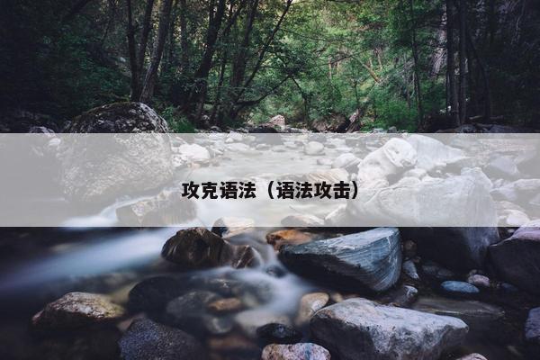 攻克语法（语法攻击）