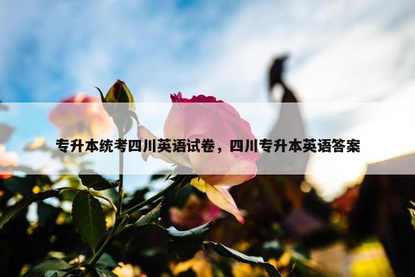 专升本统考四川英语试卷，四川专升本英语答案