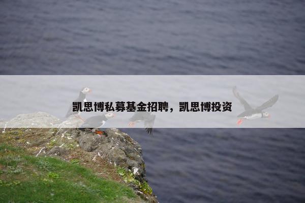 凯思博私募基金招聘，凯思博投资