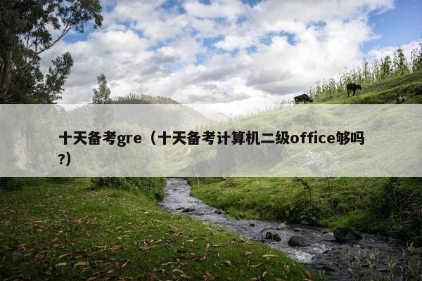 十天备考gre（十天备考计算机二级office够吗?）