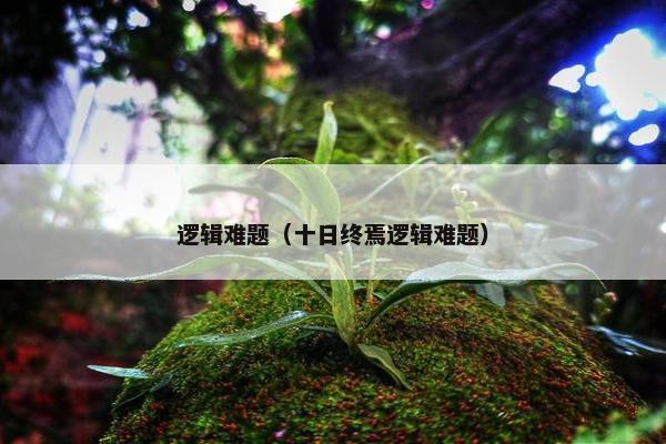 逻辑难题（十日终焉逻辑难题）