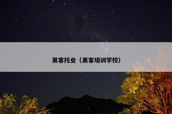 黑客托业（黑客培训学校）