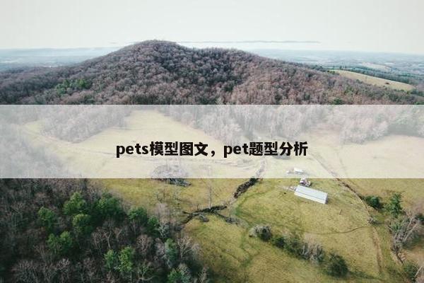 pets模型图文，pet题型分析