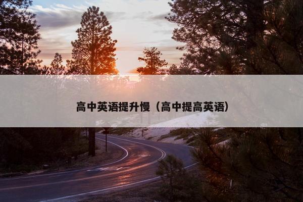 高中英语提升慢（高中提高英语）