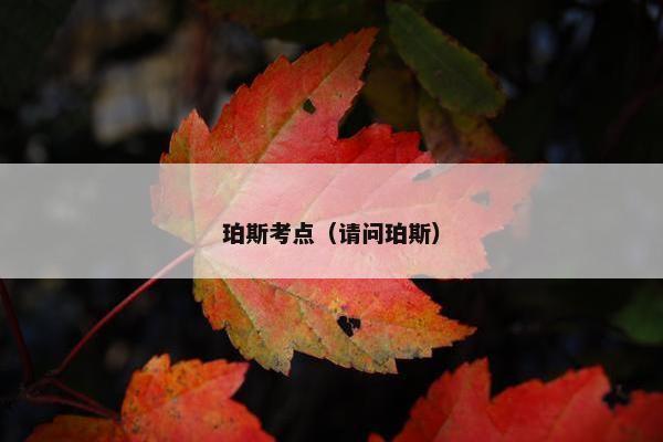 珀斯考点（请问珀斯）