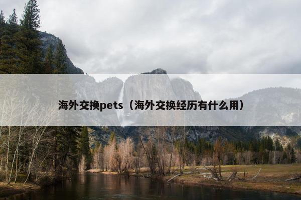 海外交换pets（海外交换经历有什么用）