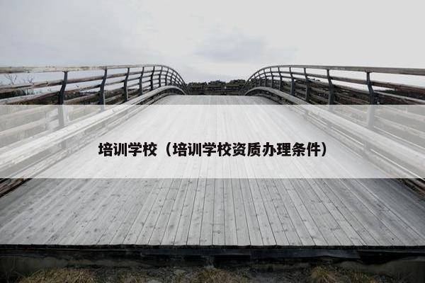 培训学校（培训学校资质办理条件）