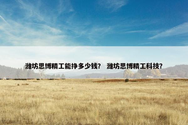 潍坊思博精工能挣多少钱？ 潍坊思博精工科技？