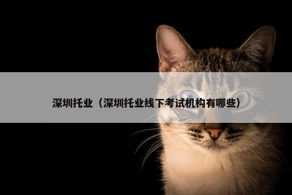 深圳托业（深圳托业线下考试机构有哪些）