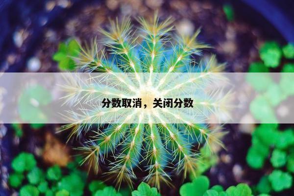 分数取消，关闭分数