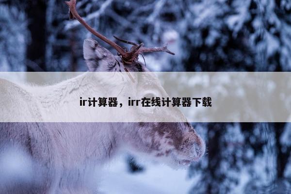 ir计算器，irr在线计算器下载