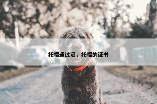 托福通过证，托福的证书