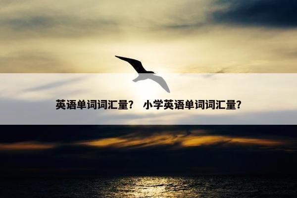 英语单词词汇量？ 小学英语单词词汇量？