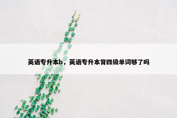 英语专升本b，英语专升本背四级单词够了吗