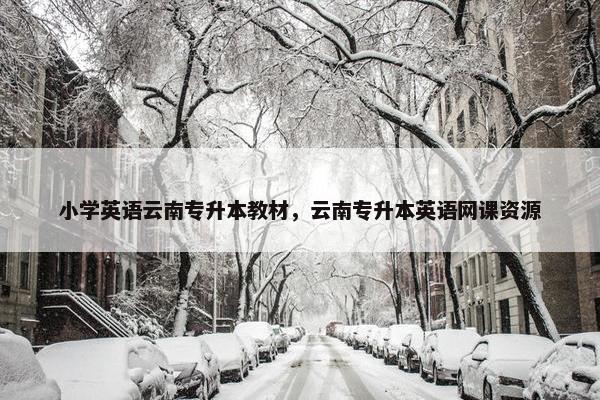 小学英语云南专升本教材，云南专升本英语网课资源