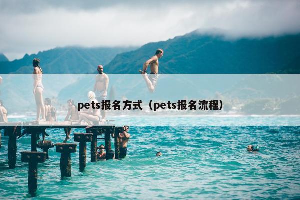 pets报名方式（pets报名流程）