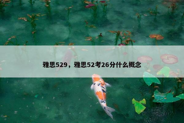 雅思529，雅思52考26分什么概念