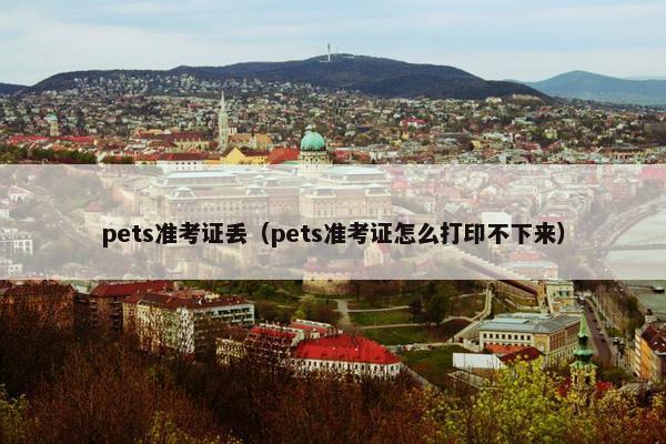 pets准考证丢（pets准考证怎么打印不下来）