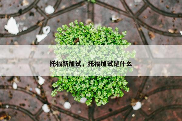 托福新加试，托福加试是什么