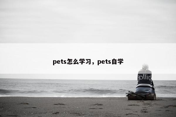 pets怎么学习，pets自学