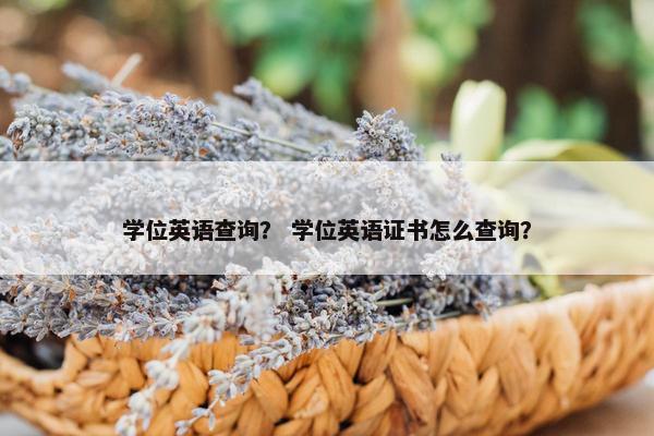 学位英语查询？ 学位英语证书怎么查询？