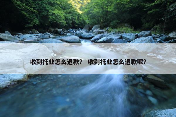 收到托业怎么退款？ 收到托业怎么退款呢？