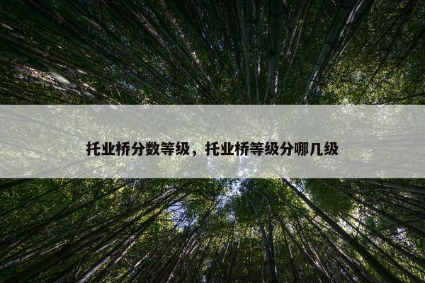 托业桥分数等级，托业桥等级分哪几级