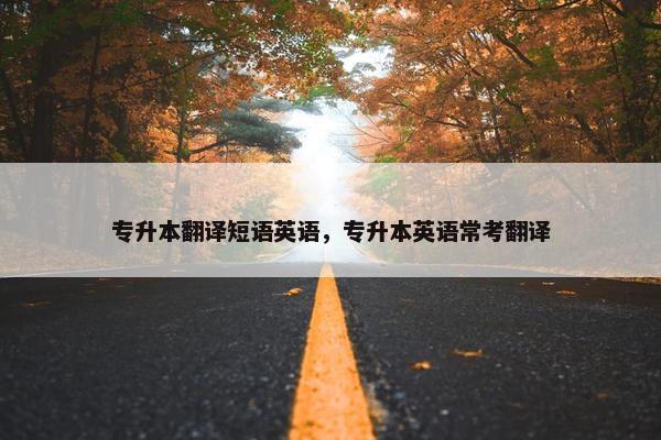 专升本翻译短语英语，专升本英语常考翻译