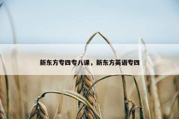 新东方专四专八课，新东方英语专四