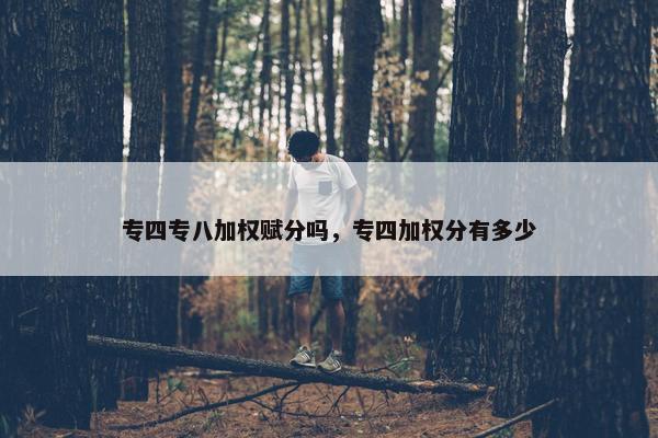专四专八加权赋分吗，专四加权分有多少