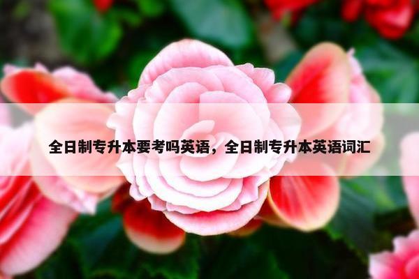 全日制专升本要考吗英语，全日制专升本英语词汇
