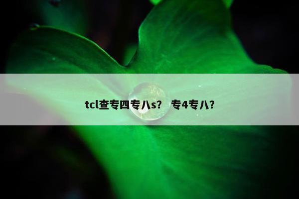 tcl查专四专八s？ 专4专八？