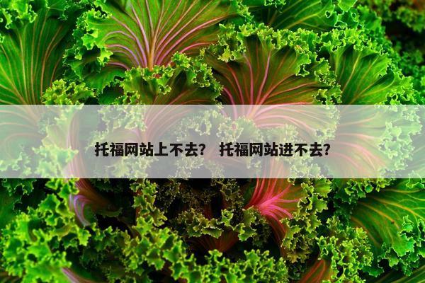 托福网站上不去？ 托福网站进不去？